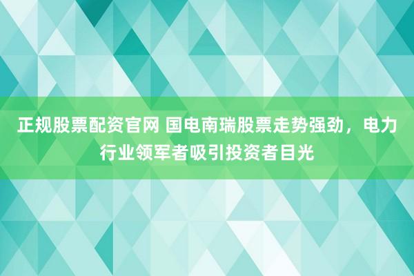 正规股票配资官网 国电南瑞股票走势强劲，电力行业领军者吸引投资者目光