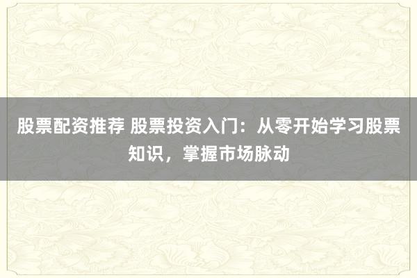 股票配资推荐 股票投资入门：从零开始学习股票知识，掌握市场脉动