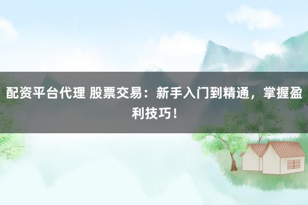 配资平台代理 股票交易：新手入门到精通，掌握盈利技巧！