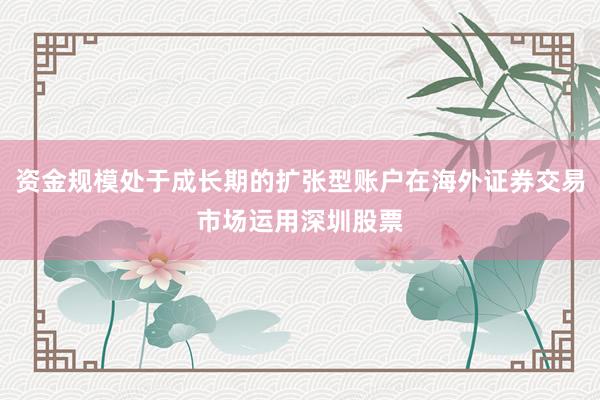 资金规模处于成长期的扩张型账户在海外证券交易市场运用深圳股票